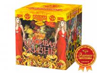 Красивая жизнь Фейерверк купить в Кирсанове | kirsanov.salutsklad.ru