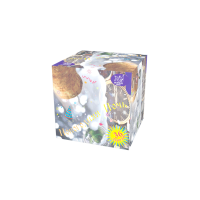 Новогодняя ночь Салют купить в Кирсанове | kirsanov.salutsklad.ru