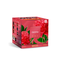 Пионы Салют купить в Кирсанове | kirsanov.salutsklad.ru