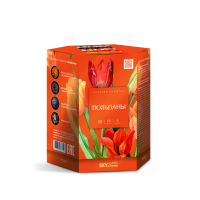 Тюльпаны Салют купить в Кирсанове | kirsanov.salutsklad.ru