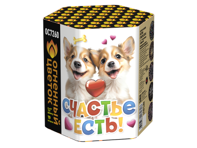 Счастье есть! Салют купить в Кирсанове | kirsanov.salutsklad.ru