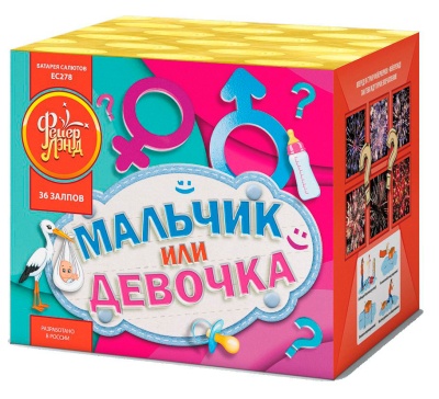 Мальчик или девочка М Фейерверк купить в Кирсанове | kirsanov.salutsklad.ru